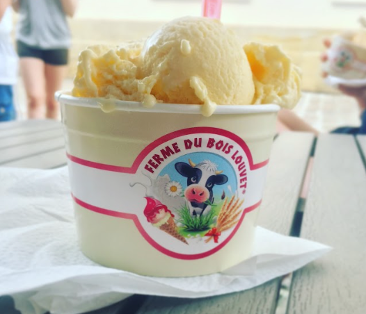 Glace artisanale : « LA FERME DU BOIS LOUVET » 475 mL
